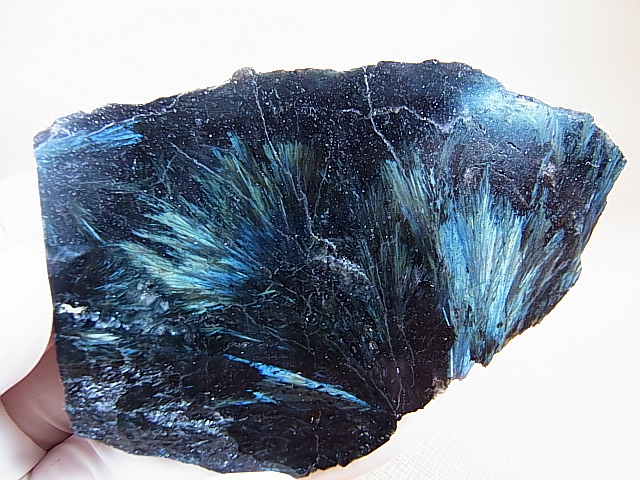 画像1: フィンランド産ヌーマイト研磨スライス（片面研磨） 72.6g