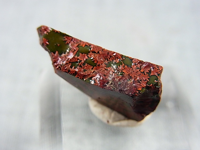 画像: 飯盛ラボストーン（IL-stone）「レアカラー：ブラッドストーン（紅葉石）」ガラス原石 13.6カラット