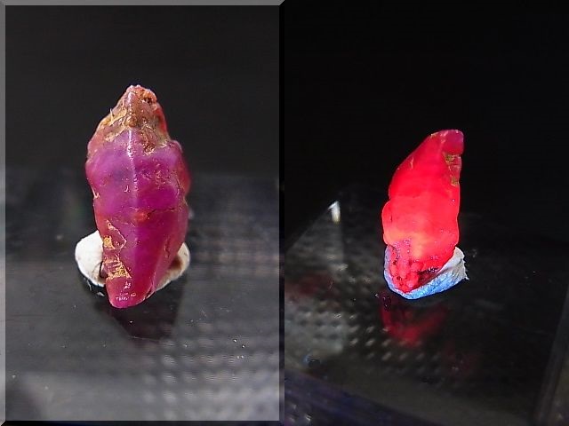 画像: ベトナムLuc Yen産シルキーサファイア原石（犬牙型） 2.5カラット