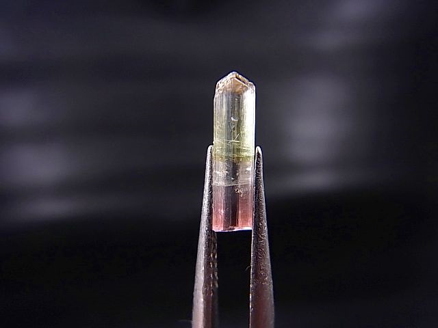 画像2: アフガニスタン産バイカラートルマリン柱状結晶（ライトグリーン/ライトピンク） 0.9カラット
