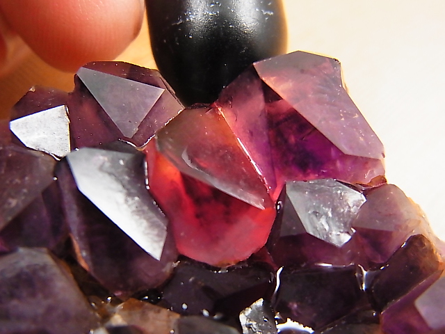 画像: コンゴ産カラーシフト/ディープカラーアメジストクラスター 126.9g