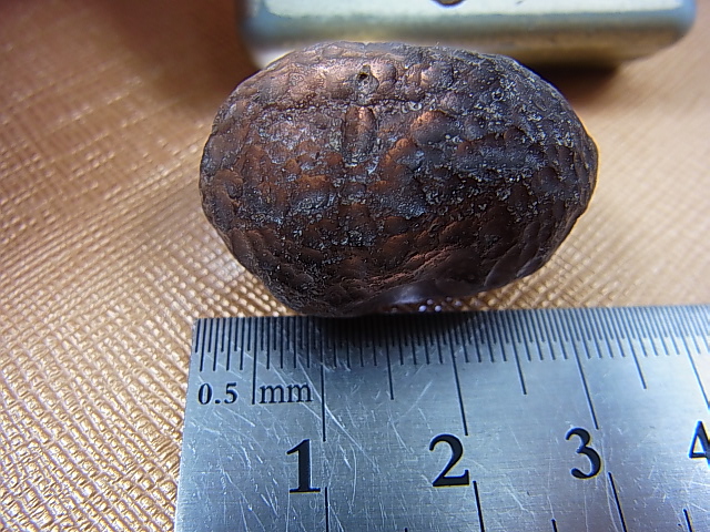 画像: コロンビア・キンディオ産コロンビアナイト原石 14.3g