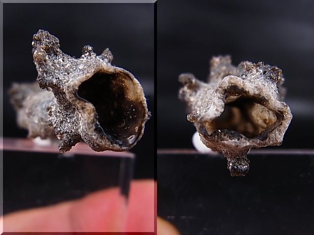 画像2: フルグライト（閃電岩） 2.5g