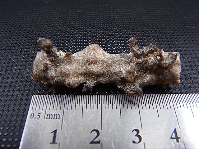 画像: フルグライト（閃電岩） 2.5g