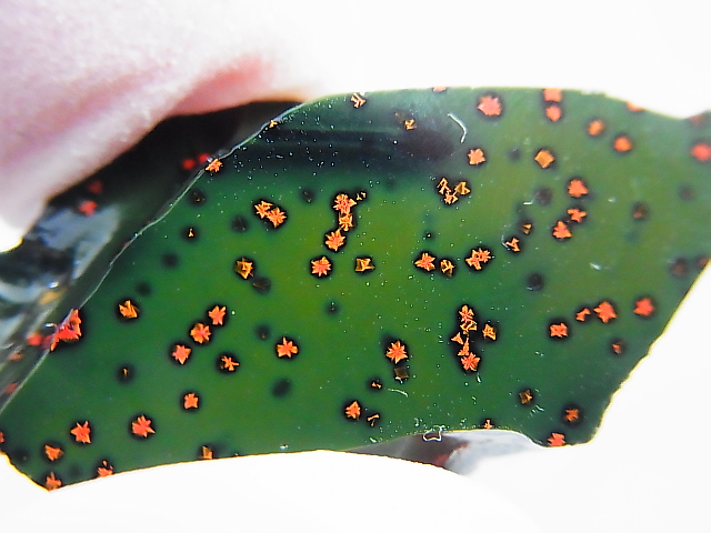 画像2: 飯盛ラボストーン（IL-stone）「レアカラー：ブラッドストーン（紅葉石）」ガラス原石 21.6カラット