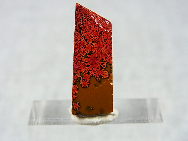 画像: 飯盛ラボストーン（IL-stone）「レアカラー：ブラッドストーン（紅葉石）」ガラス原石 14.8カラット