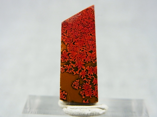 画像: 飯盛ラボストーン（IL-stone）「レアカラー：ブラッドストーン（紅葉石）」ガラス原石 14.8カラット