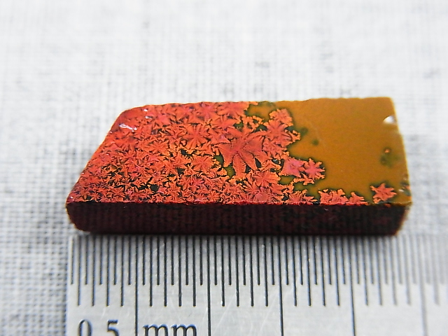 画像: 飯盛ラボストーン（IL-stone）「レアカラー：ブラッドストーン（紅葉石）」ガラス原石 14.8カラット