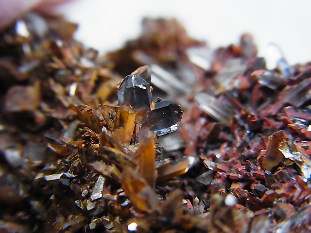 画像2: 群馬県三ツ岩岳産日本式双晶クラスター 66.1g