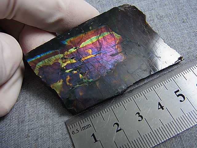 画像: フィンランド・ユレマー産スペクトロライト（パープルヴィオラミックス）研磨スライス 28.7g
