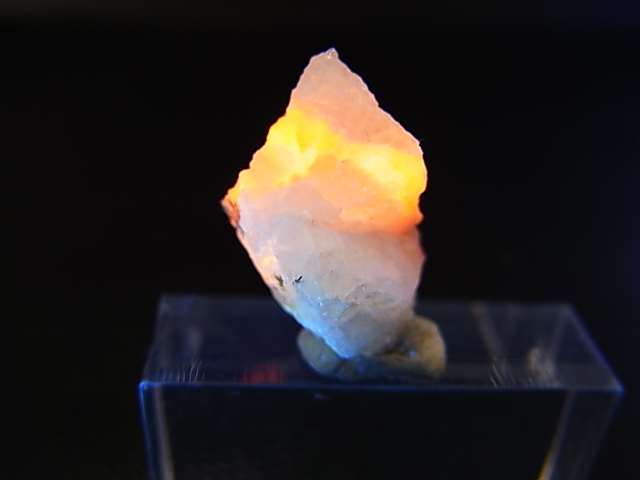 画像: ツグツパイト（タグトゥパイト）原石 1.7g