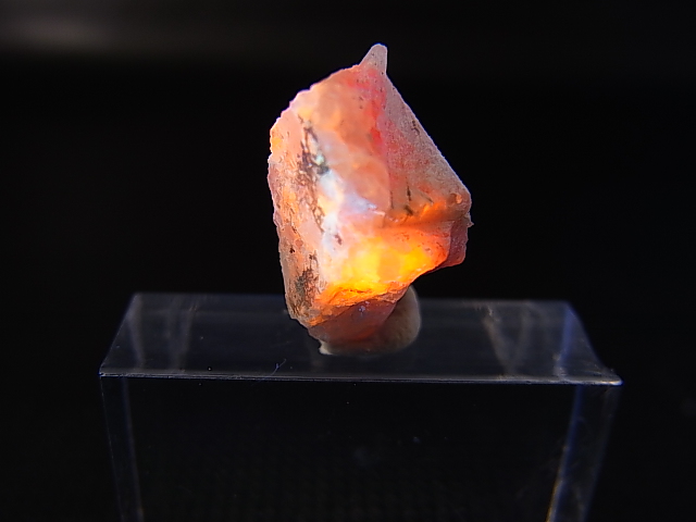 画像: ツグツパイト（タグトゥパイト）原石 1.6g