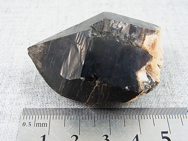 画像: ノルウェー産モリオン（黒水晶） 50.6g