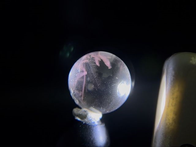 画像: マダガスカル産ピンクエンジェルラダー水晶丸玉 14.5mm