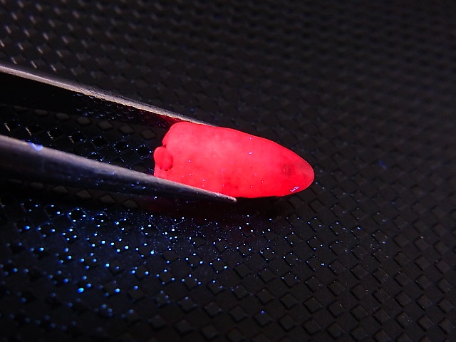 画像: ベトナムLuc Yen産ルビー結晶原石（犬牙型） 2.5カラット