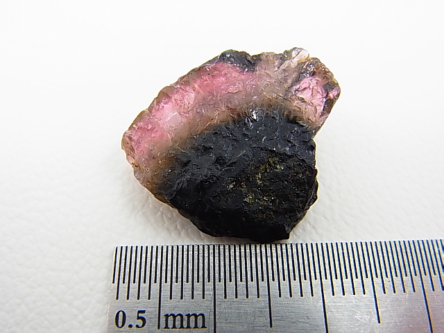 画像: ベトナムMinh Tien産多色トルマリン（ウォーターメロン）結晶原石 25.8カラット