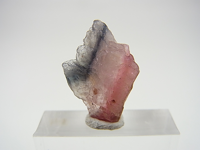 画像: ベトナムMinh Tien産多色トルマリン（ピンク/カラーレス/ブラック）結晶原石 7.7カラット