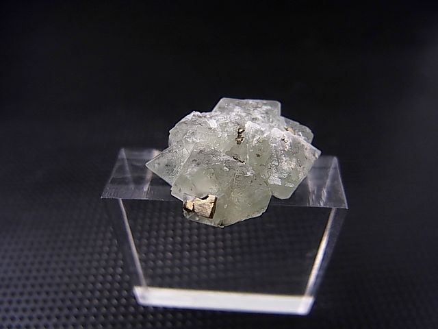 画像: 猪倉大成鉱山産パイライト付きグリーンフローライト原石 2.7g