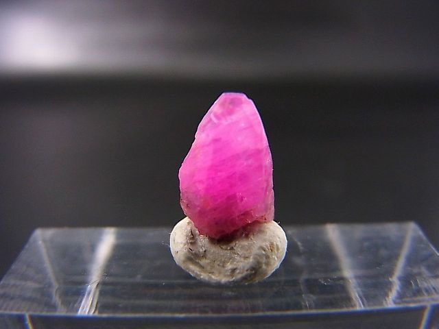 画像1: ベトナムLuc Yen産シルキーサファイア原石（犬牙型） 2.0カラット