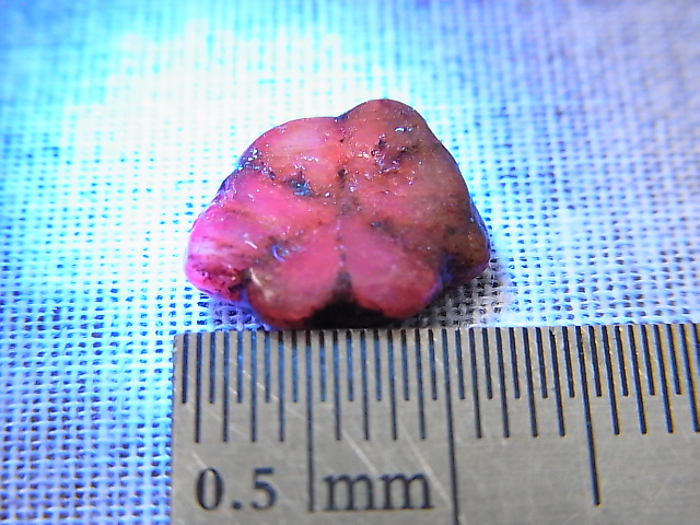 画像: ベトナムLuc Yen産トラピチェ結晶原石（自然研磨サファイア） 3.6カラット