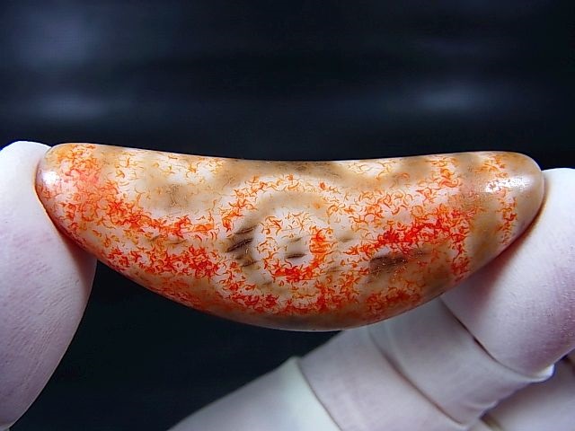 画像1: ヴィンテージ：「弓形(牛角)赤七眼」西蔵（チベット）天珠 約53.5×20×11.5mm