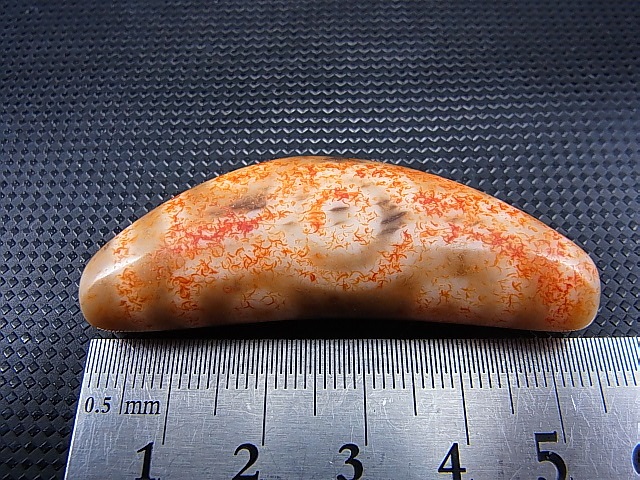 画像: ヴィンテージ：「弓形(牛角)赤七眼」西蔵（チベット）天珠 約53.5×20×11.5mm