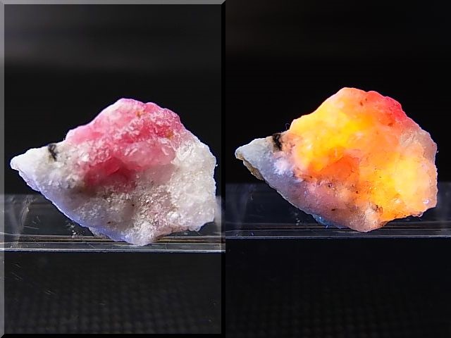 画像: ツグツパイト（タグトゥパイト）原石 1.6g