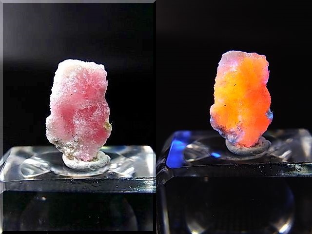 画像: ツグツパイト（タグトゥパイト）原石 0.4g