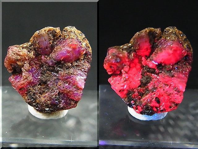 画像: ベトナムLuc Yen産トラピチェ結晶原石（ルビー） 6.6カラット