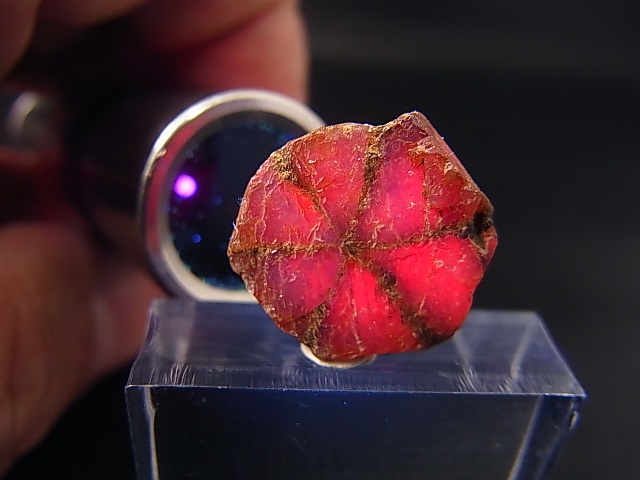 画像2: ベトナムLuc Yen産トラピチェ結晶原石（パープルサファイア） 7.9カラット