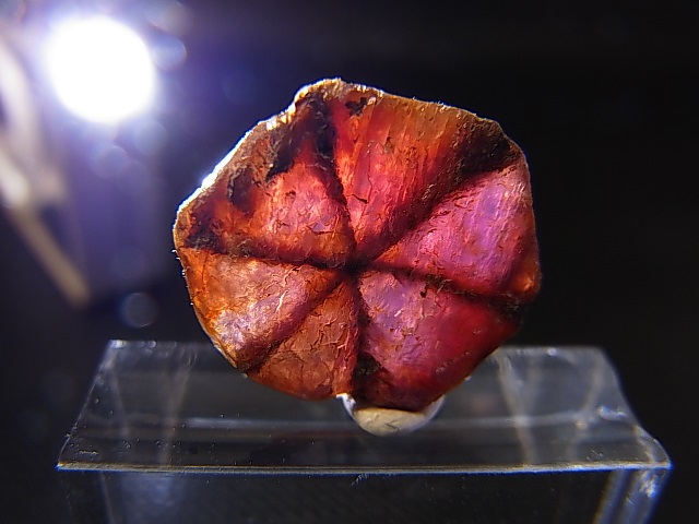 画像: ベトナムLuc Yen産トラピチェ結晶原石（パープルサファイア） 7.9カラット