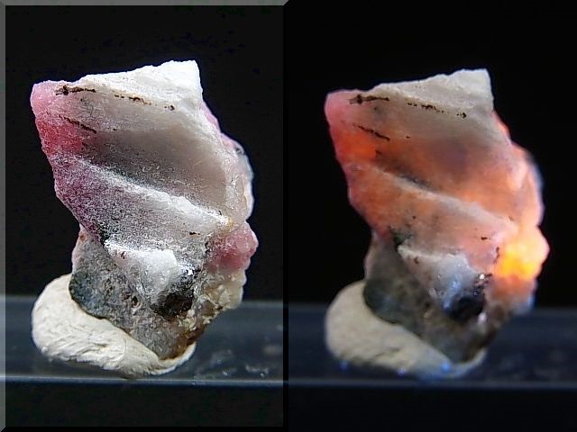 画像: ツグツパイト（タグトゥパイト）原石 1.6g