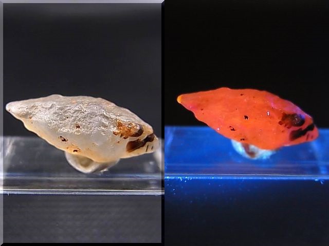 画像: ミャンマー・モゴック産ホワイトサファイア原石（犬牙型ＤＴ） 4.1カラット