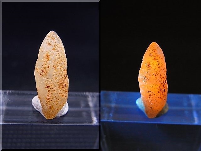 画像: ミャンマー・モゴック産イエローサファイア原石（犬牙型ＤＴ） 5.7カラット