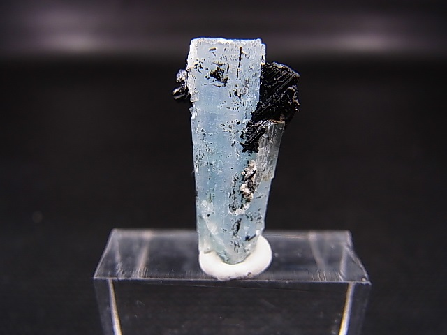 画像1: ベトナム産連晶結束型アクアマリン原石（ブラックトルマリン付き） 2.2g