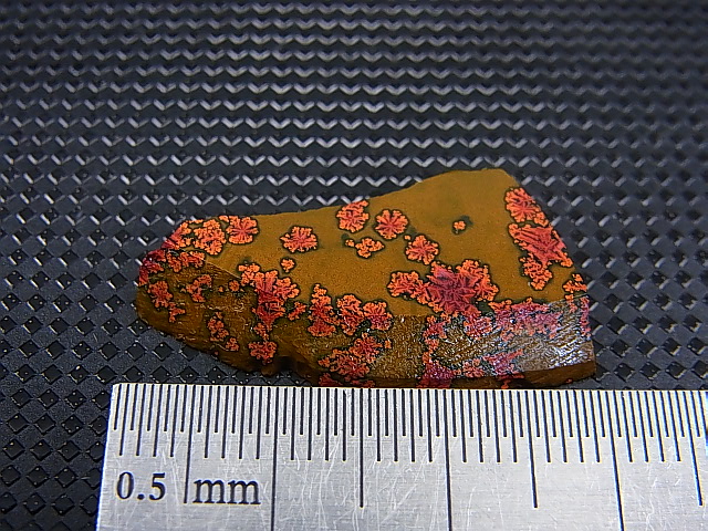 画像: 飯盛ラボストーン（IL-stone）「レアカラー：ブラッドストーン（紅葉石）」ガラス原石 14.2カラット