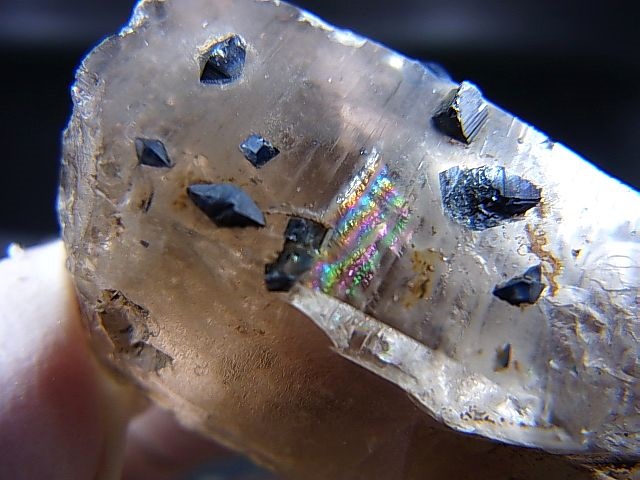 画像: ノルウェー産ライトスモーキー水晶（ブルーアナテース付き） 24.6g