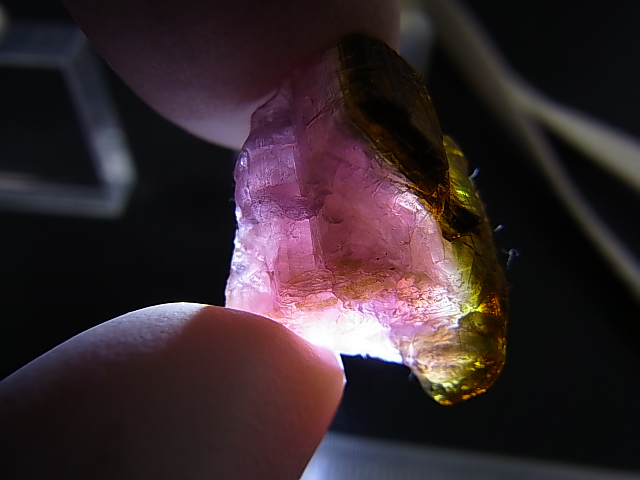 画像: ベトナムBac Kan産バイカラートルマリン原石 18.9カラット