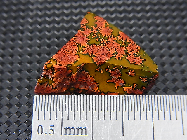 画像: 飯盛ラボストーン（IL-stone）「レアカラー：ブラッドストーン（紅葉石）」ガラス原石 11.3カラット