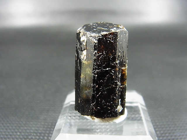 画像: ネパール・ジャジャルコット産ドラバイトトルマリン柱状結晶原石 61.1カラット