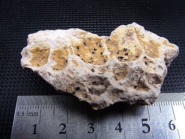 画像: 鹿児島産オオスミライト（大隅石） 32.7g
