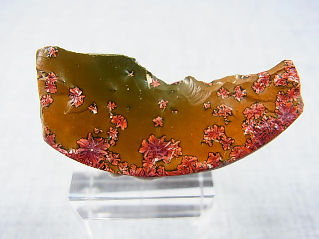 画像: 飯盛ラボストーン（IL-stone）「レアカラー：ブラッドストーン（紅葉石）」ガラス原石（片面研磨） 64.6カラット