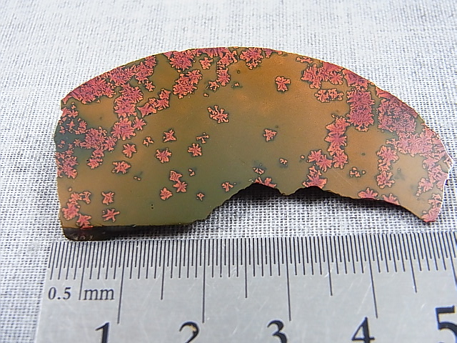 画像: 飯盛ラボストーン（IL-stone）「レアカラー：ブラッドストーン（紅葉石）」ガラス原石（片面研磨） 64.6カラット