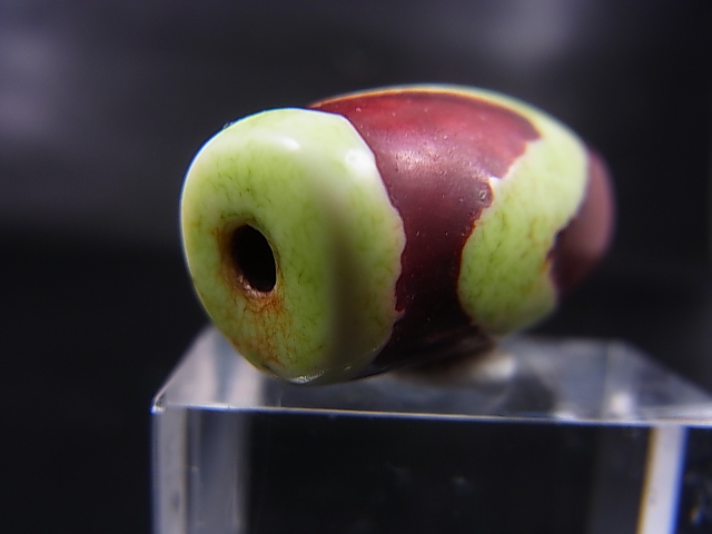 画像: ヴィンテージ：「老緑色虎牙」西蔵（チベット）天珠 直径約14×28mm