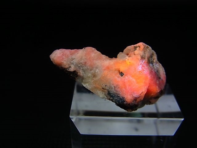 画像: ツグツパイト（タグトゥパイト）原石 5.0g