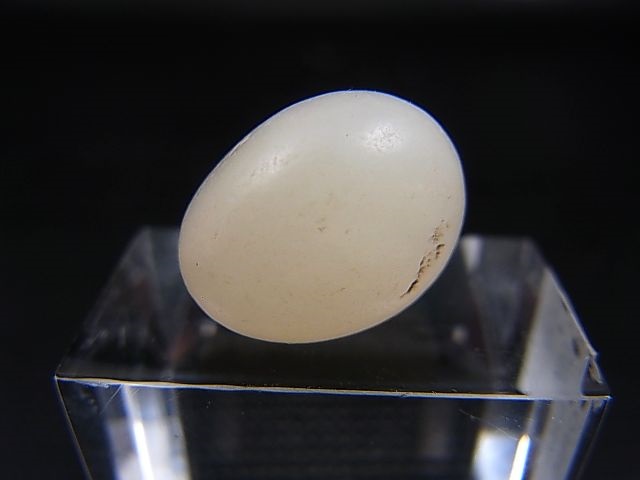 画像: 和田玉（ホータンぎょく）「羊脂白玉」オリジナルビーズ 約16×13×12mm