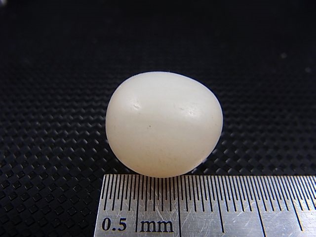 画像: 和田玉（ホータンぎょく）「羊脂白玉」オリジナルビーズ 約15×13×12.5mm