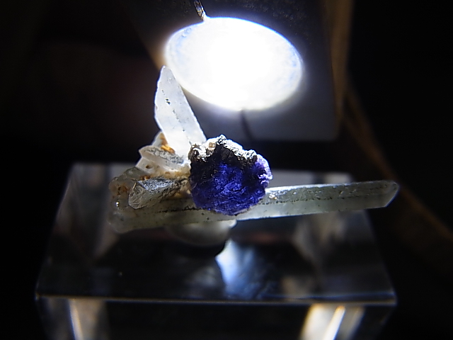 画像: ドイツ・ザクセン州産ブルーフローライトon水晶(パイライト共生) 0.8g
