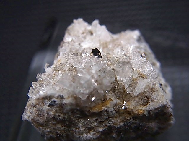 画像: フランス・サヴォワ産ブルッカイトinクオーツ 8.1g
