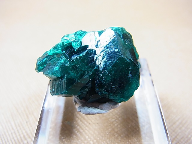 画像2: コンゴ産ダイオプテーズ原石（大粒結晶） 7.2g